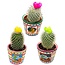 Cactus mix kunstbloemen- 8.5cmØ- ↕️10-15cm- 3 stuks - Mexico