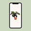 Calathea Medallion - Ø17cm - ↕60cm