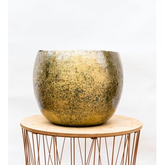 Ellen Brass - 25x19