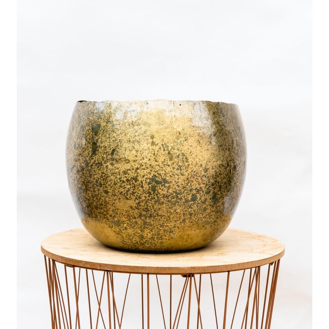 Ellen Brass - 25x19
