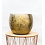 Ellen Brass - 25x19