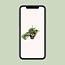 Monstera Monkey - Ø14cm - ↕30cm