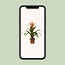 Guzmania Melissa - Ø12 ↕45