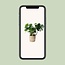 Monstera In Basket Palmleaf - Ø21cm - ↕60cm