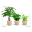 Diervriendelijke Plantenbox - klein - met Mand Sofia naturel - Ø12