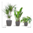 Schaduw Plantenbox - medium - met vibers pot grijs