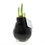 No Water Flowers® (wax amaryllis) | Waxz® Colours - Black + Red flower