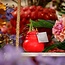 No Water Flowers® (wax amaryllis) | Waxz® Colours - Red + Red flower