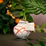 No Water Flowers® (wax amaryllis) | Waxz® Art Karel Appel - Orange + Red flower