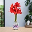 No Water Flowers® (wax amaryllis) | Waxz® Art Karel Appel - Blue + Red flower