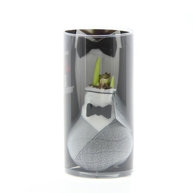 No Water Flowers® (wax amaryllis) | Giletz Bowtie - Red flower