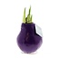 No Water Flowers® (wax amaryllis) | Parfumz - Lavender + Red flower