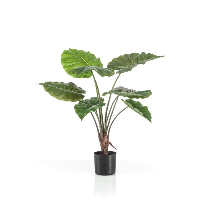 Kunstplant - Alocasia - Olifantsoor - 70 cm