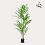 Kunstplant - Chamaedorea Elegans - Bergpalm