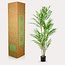 Kunstplant - Chamaedorea Elegans - Bergpalm