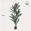 Kunstplant - Chamaedorea Elegans - Bergpalm