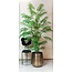 Kunstplant - Chamaedorea Elegans - Bergpalm