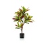 Kunstplant - Croton Codiaeum - Wonderstruik - 95 cm