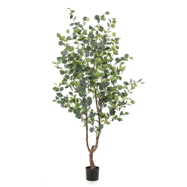 Kunstplant - Eucalyptus - Blauwe Gomboom - 180 cm