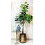 Kunstplant - Ficus Lyrata - Tabaksplant - 180 cm