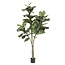 Kunstplant - Ficus Lyrata - Tabaksplant - 180 cm