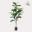 Kunstplant - Ficus Lyrata - Tabaksplant - 120 cm