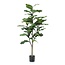 Kunstplant - Ficus Lyrata - Tabaksplant - 120 cm