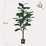 Kunstplant - Ficus Lyrata - Tabaksplant - 120 cm