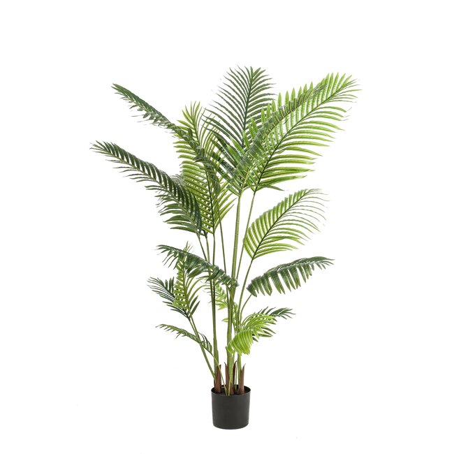 Kunstplant - Howea Forsteriana - 160 cm