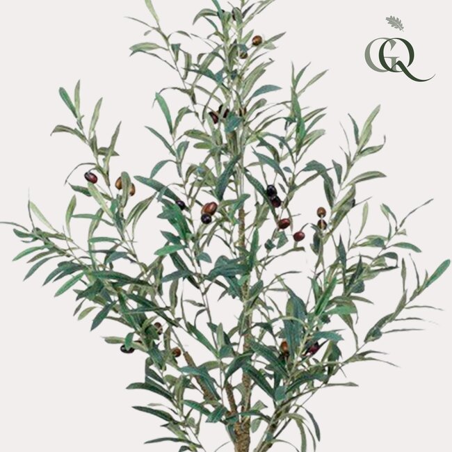 Kunst Olijfboom - Olea europaea - Olijfboom - 115 cm
