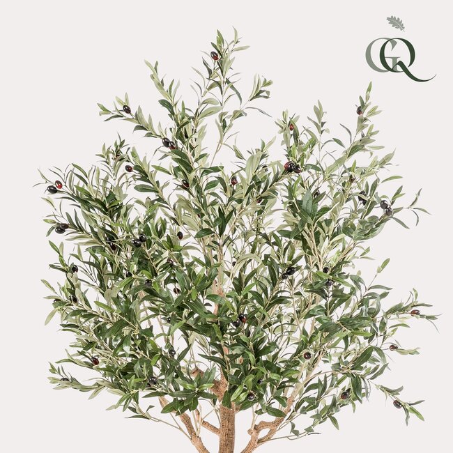 Kunst Olijfboom - Olea europaea - Olijfboom - 180 cm