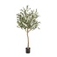 Kunst Olijfboom - Olea europaea - Olijfboom - 180 cm