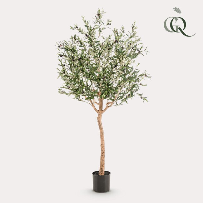 Kunst Olijfboom - Olea europaea - Olijfboom - 180 cm