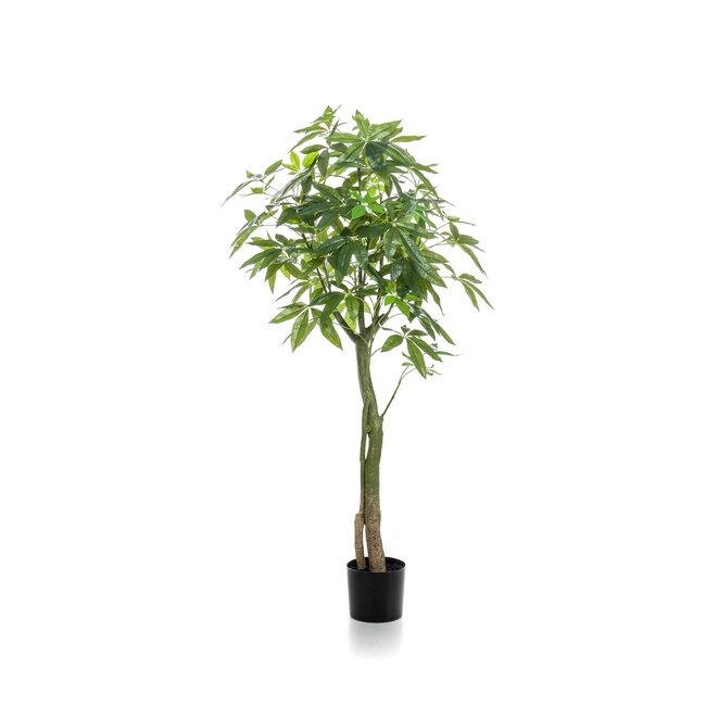 Kunstplant - Pachira Aquatica - Geldboom - 150 cm