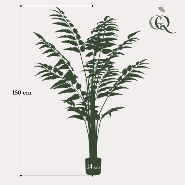Kunstplant - Rumohra Adiantiformis - Ledervaren