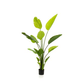 kunstplant - Strelitzia Nicolai - Paradijsvogelbloem - 150 cm