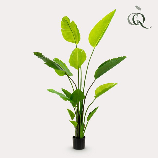 kunstplant - Strelitzia Nicolai - Paradijsvogelbloem - 150 cm