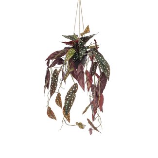 Kunstplant - Begonia Maculata - Stippenbegonia - 80 cm