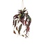 Kunstplant - Begonia Maculata - Stippenbegonia - 80 cm