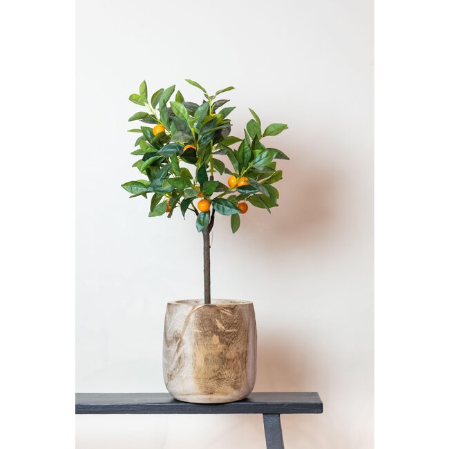 Kunstplant - Citrus Sinensis - Sinaasappelboom - 75 cm