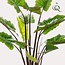 Kunstplant - Colocasia Pink China - Olifantsoor - 130 cm