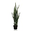 Kunstplant - Sanseveria black coral - Vrouwentong - 97 cm