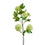 Kunstbloemen Solo - Crème - Viburnum Opulus Branches - x 4 - 75cm