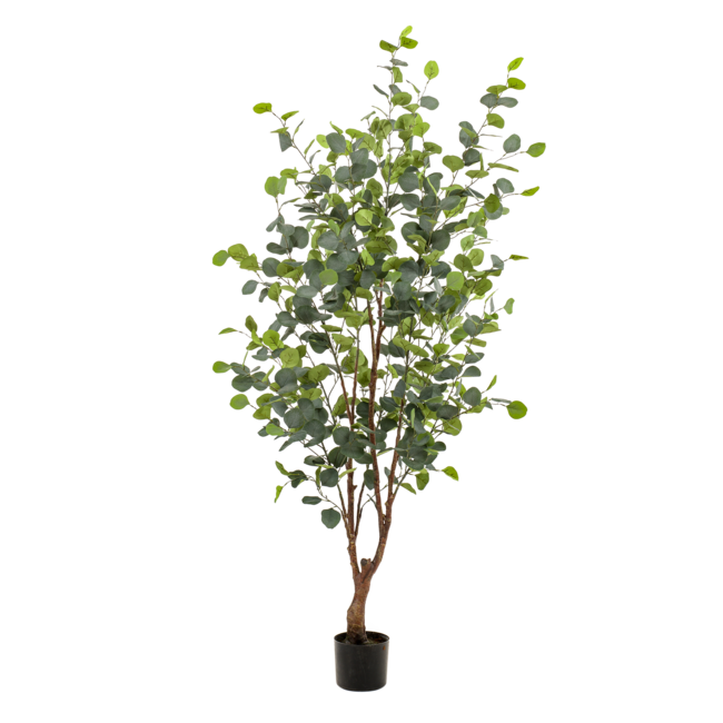 Kunstplant - Eucalyptus - Blauwe Gomboom - 140 cm
