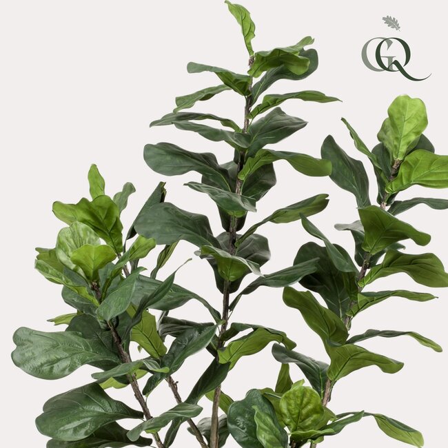 Kunstplant - Ficus Lyrata - Tabaksplant - 210cm