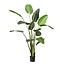 Kunstplant - Strelitzia Nicolai - Paradijsvogelbloem - 230cm
