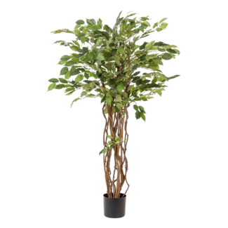 kunstplant - Ficus liana - Vioolbladplant - 140cm