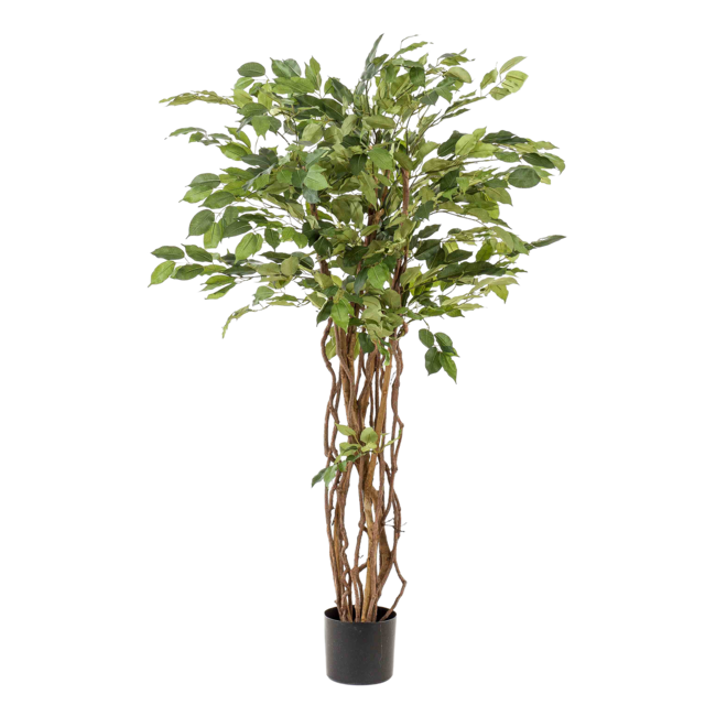kunstplant - Ficus liana - Vioolbladplant - 140cm