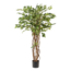 kunstplant - Ficus liana - Vioolbladplant - 140cm