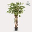 kunstplant - Ficus liana - Vioolbladplant - 140cm